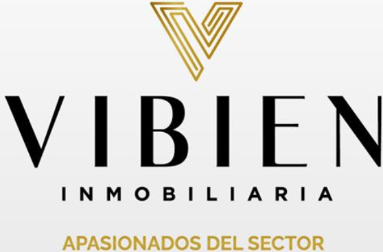 logo vibien